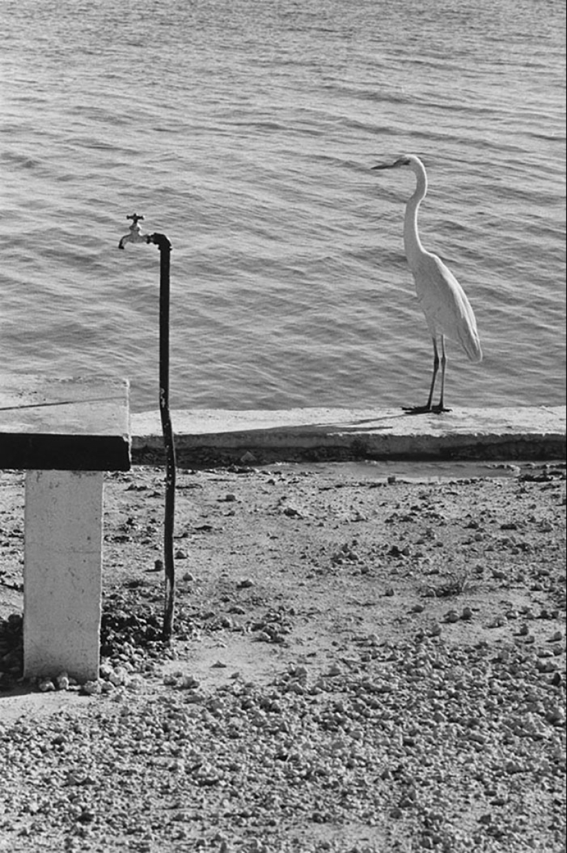 30 fotogramas de fotografía callejera con sincronización perfecta