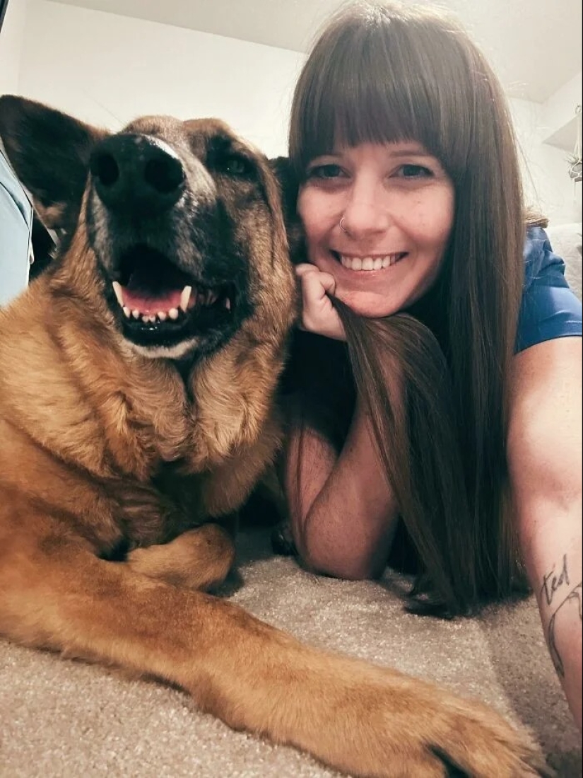 30 fotos conmovedoras de gatos y perros que han encontrado un hogar y una familia 30 fotos conmovedoras de gatos y perros que han encontrado un hogar y una familia