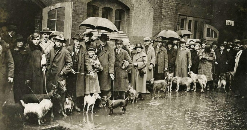 30 fotos de archivo que seguro te sorprenderán