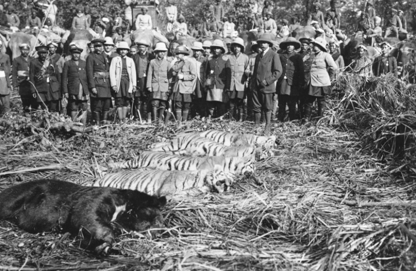 30 fotos de archivo que seguro te sorprenderán