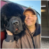 30 fotos lindas sobre el amor de los perros para los mensajeros