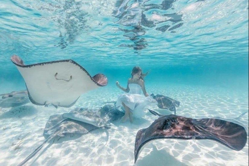 30 fotos sentidas que compensarán la falta de bondad