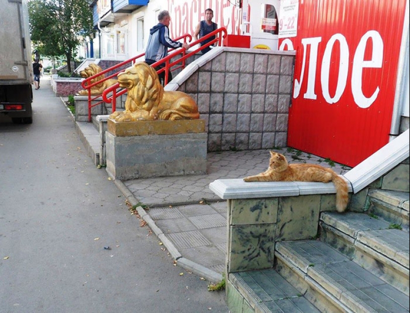 30 frames of street photography with perfect timing