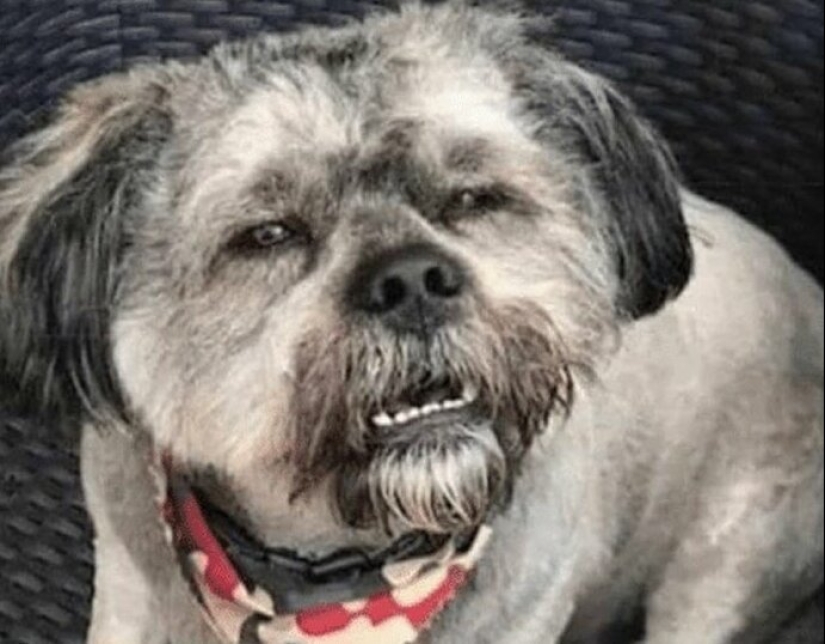 30 funny memes dedicated to the work and colleagues 30 funny memes dedicated to the work and colleagues