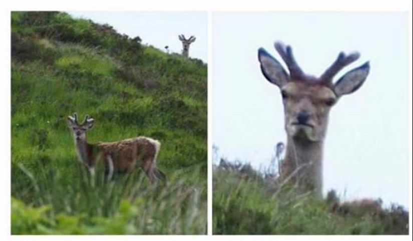 30 funny memes dedicated to the work and colleagues 30 funny memes dedicated to the work and colleagues