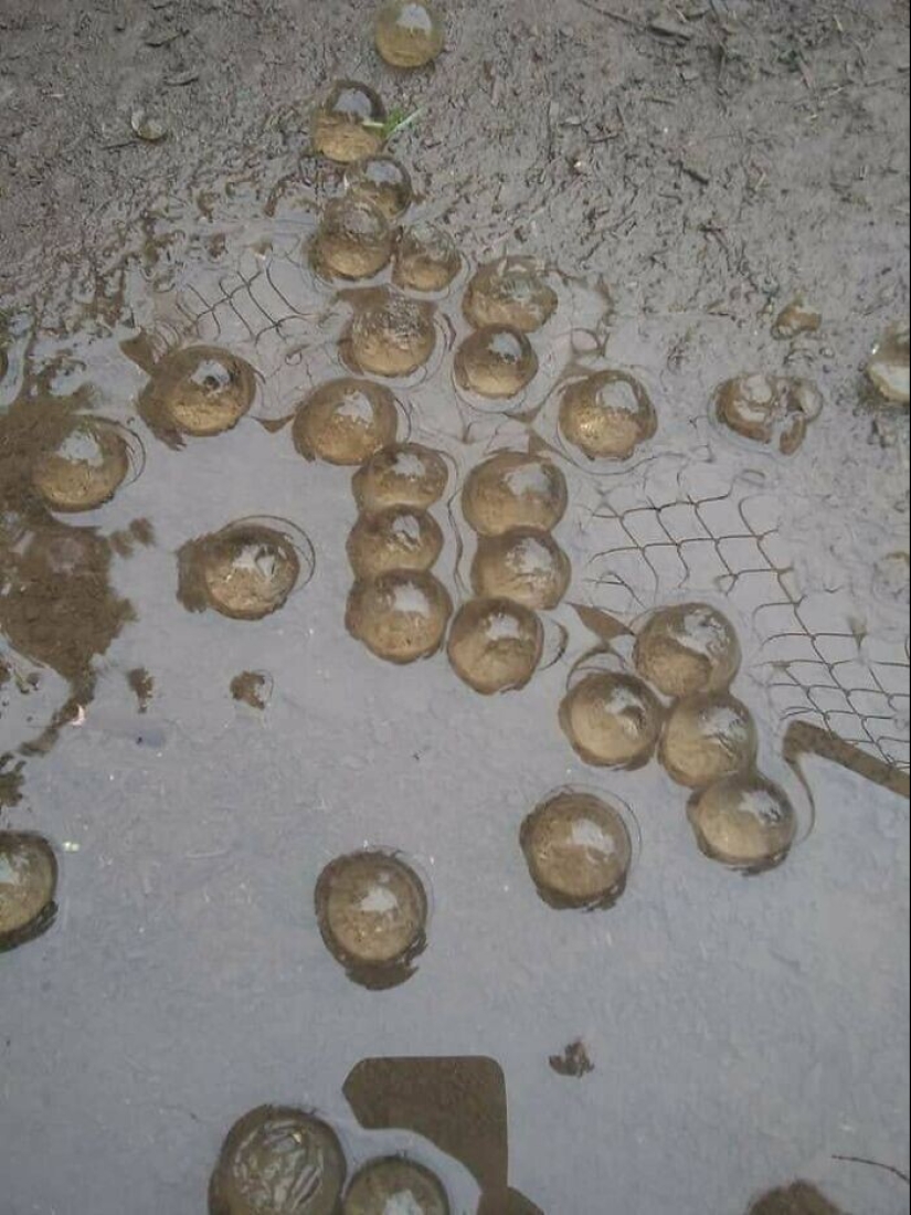 30 hallazgos interesantes, cuyo propósito no se puede adivinar de inmediato