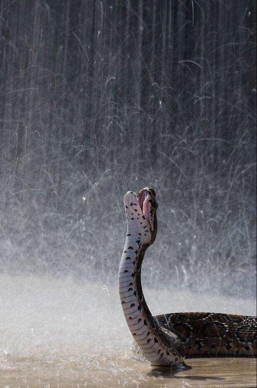 30 heartfelt photos that will make up for the lack of goodness