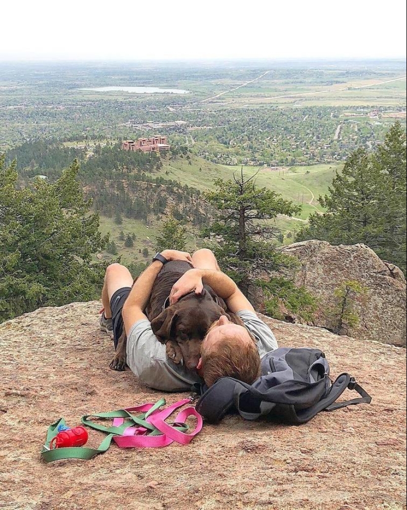 30 heartfelt photos that will make up for the lack of goodness
