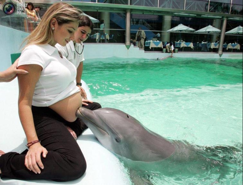 30 heartfelt photos that will make up for the lack of goodness