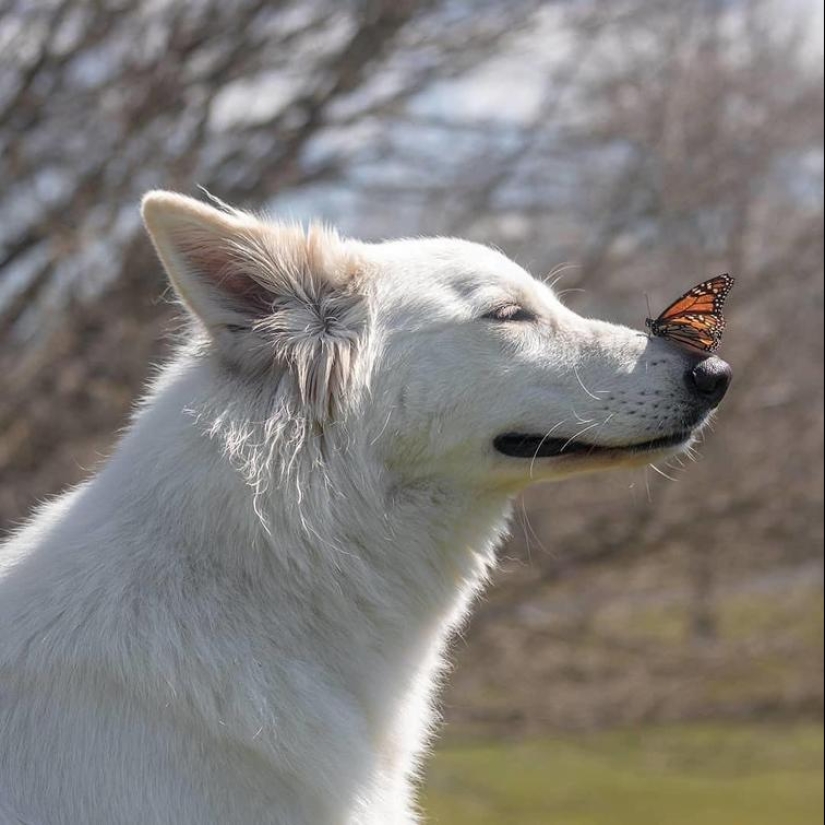 30 heartfelt photos that will make up for the lack of goodness