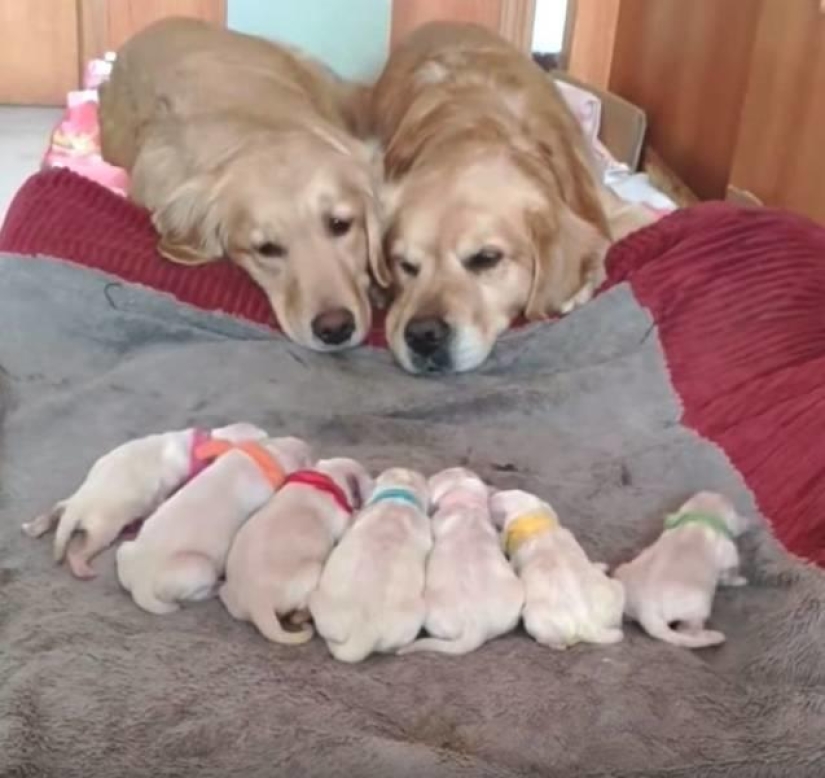 30 heartfelt photos that will make up for the lack of goodness