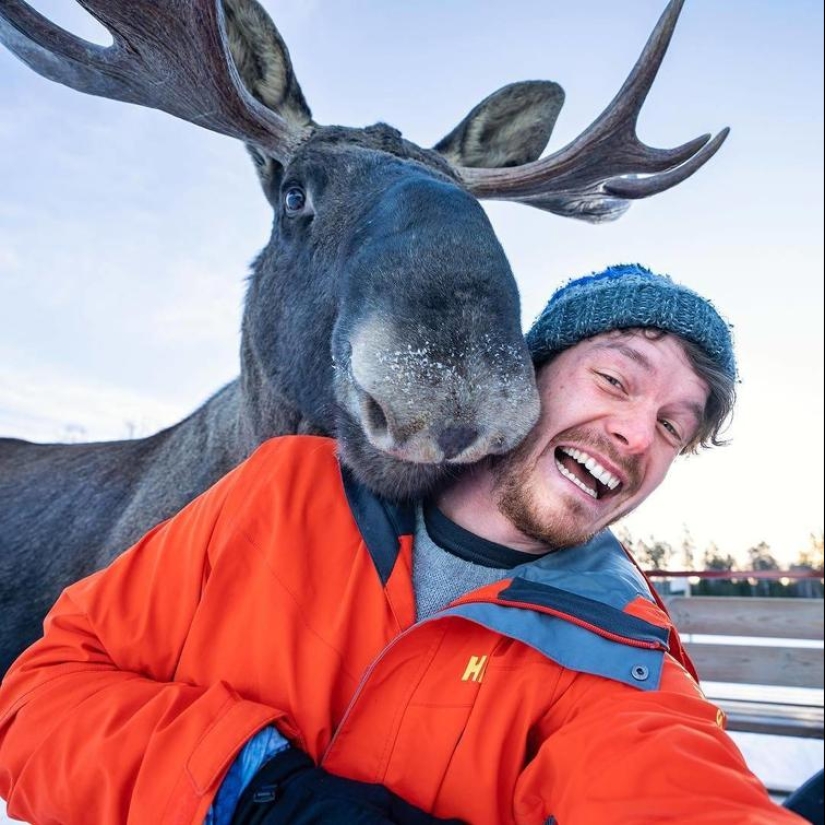 30 heartfelt photos that will make up for the lack of goodness