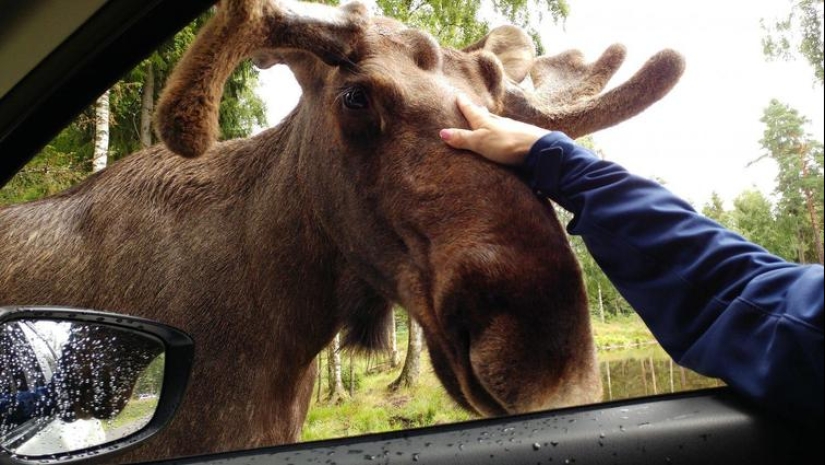 30 heartfelt photos that will make up for the lack of goodness