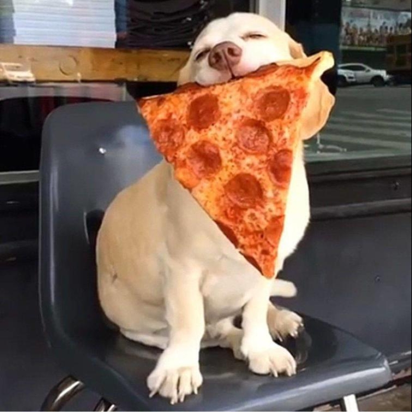 30 heartfelt photos that will make up for the lack of goodness