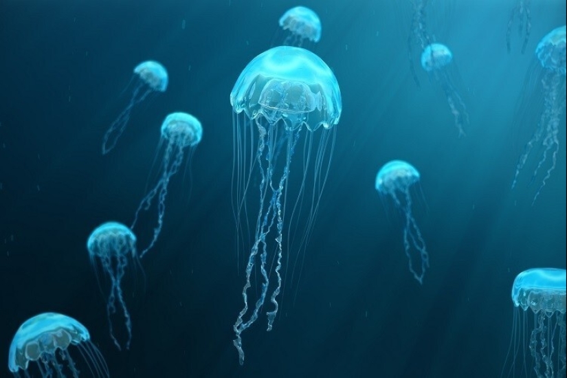 30 hechos asombrosos que harán volar tu cerebro!