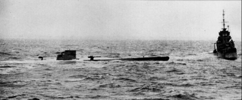 30 hechos inesperados que te sorprenderán hasta la médula