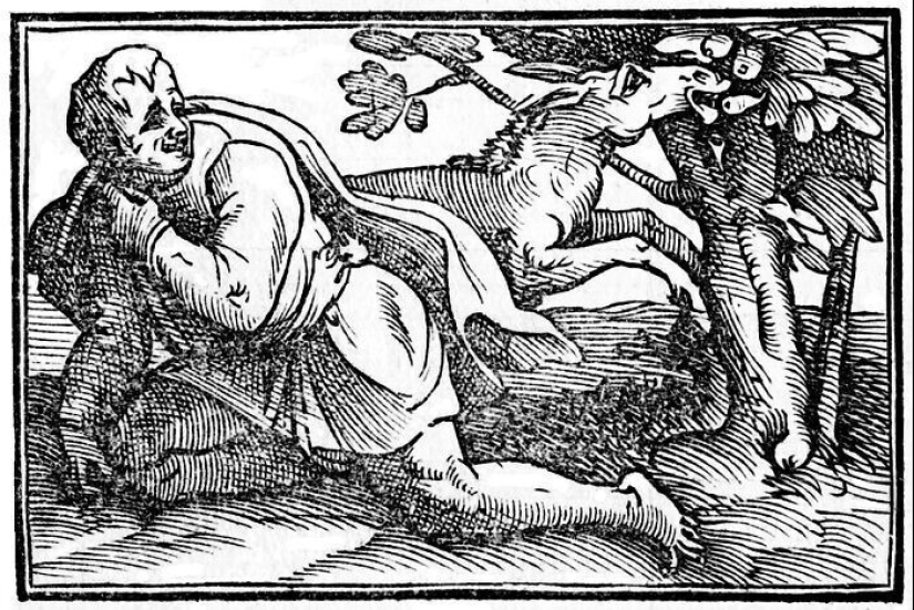 30 historical facts which at first seem improbable