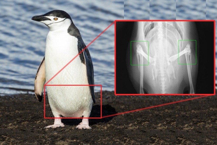 30 increíbles hechos que a primera vista parece absurdo
