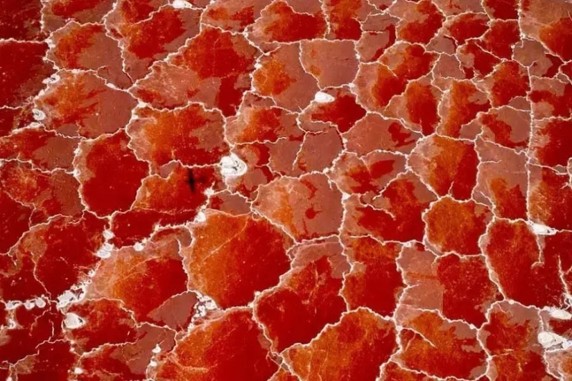 30 incredibly beautiful photos that prove that life is beautiful and amazing