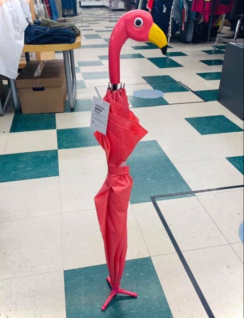 30 incredibly successful purchases at a thrift store 30 incredibly successful purchases at a thrift store