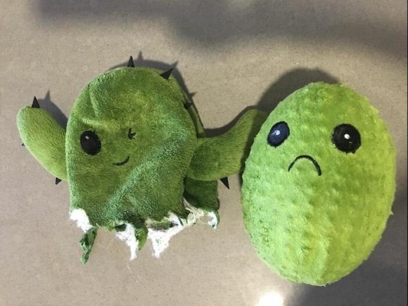 30 inesperado se encuentra dentro de una desmontado o cosas rotas