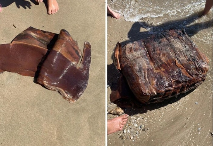 30 interesting finds, the purpose of which you can not immediately guess