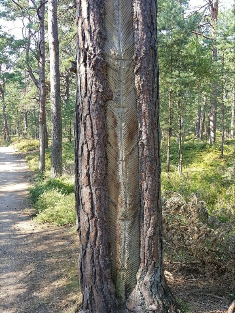 30 interesting finds, the purpose of which you can not immediately guess