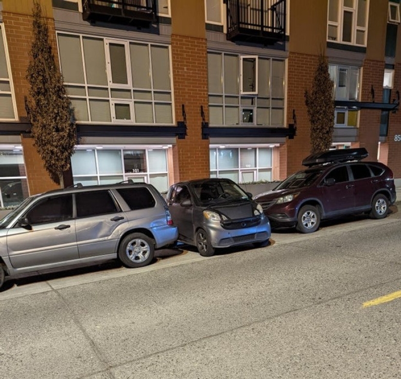 30 interesting photos of different differences that arouse interest