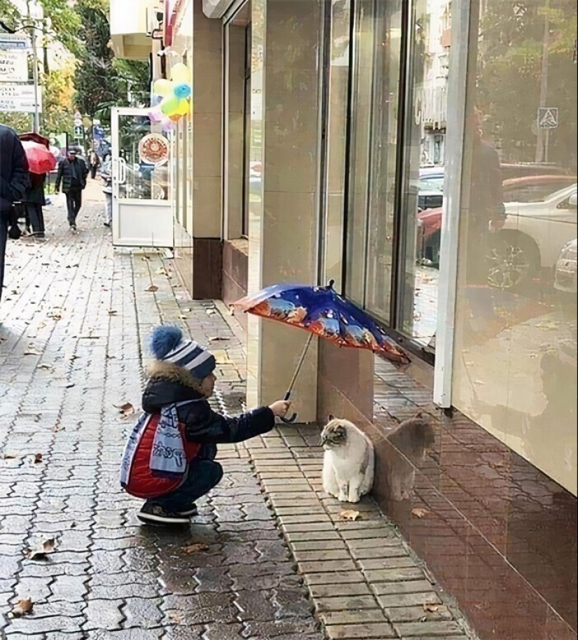 30 life-affirming when children have shown incredible kindness