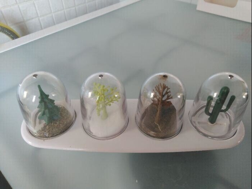 30 lindo, peculiar e inquietante que se encuentra en las tiendas de segunda mano