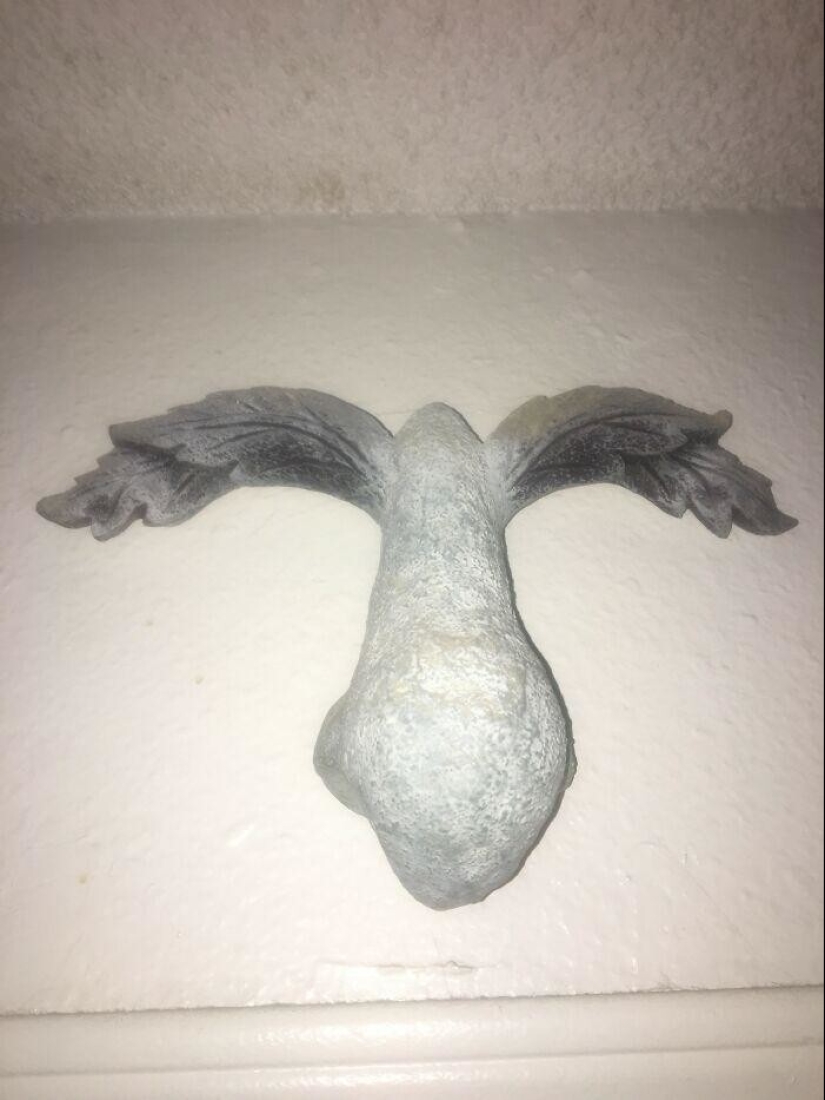 30 lindo, peculiar e inquietante que se encuentra en las tiendas de segunda mano