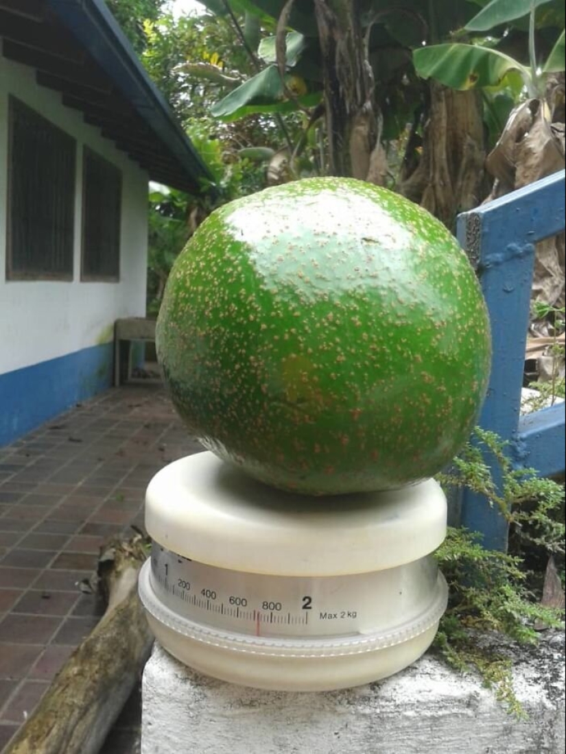 30 lucky people who won the jackpot in the food lottery