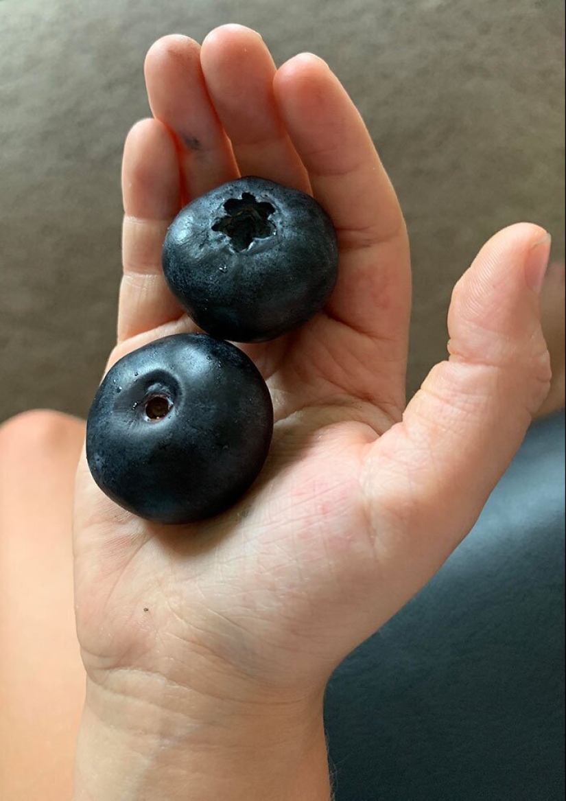 30 lucky people who won the jackpot in the food lottery