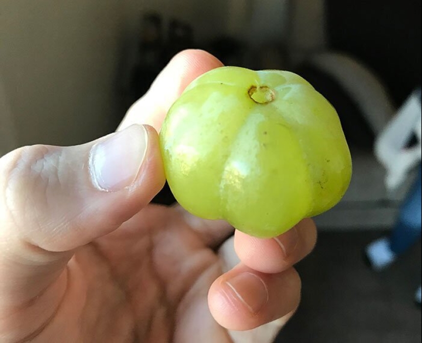 30 lucky people who won the jackpot in the food lottery