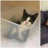 30 occasions when the owners trained Pets, weird habits, without even knowing it 30 occasions when the owners trained Pets, weird habits, without even knowing it