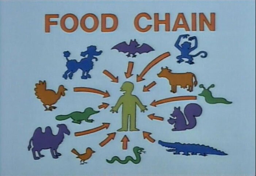 30 of the most witty signs and inscriptions from the Simpsons»