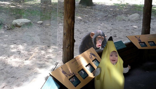30 people who found friends at the zoo