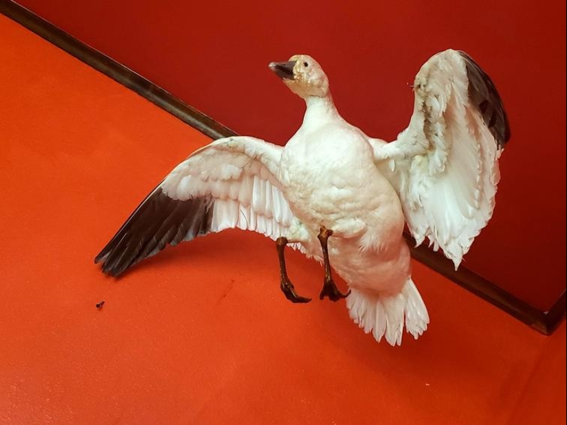30 people who have had such a bad day that he is unlikely to get any worse