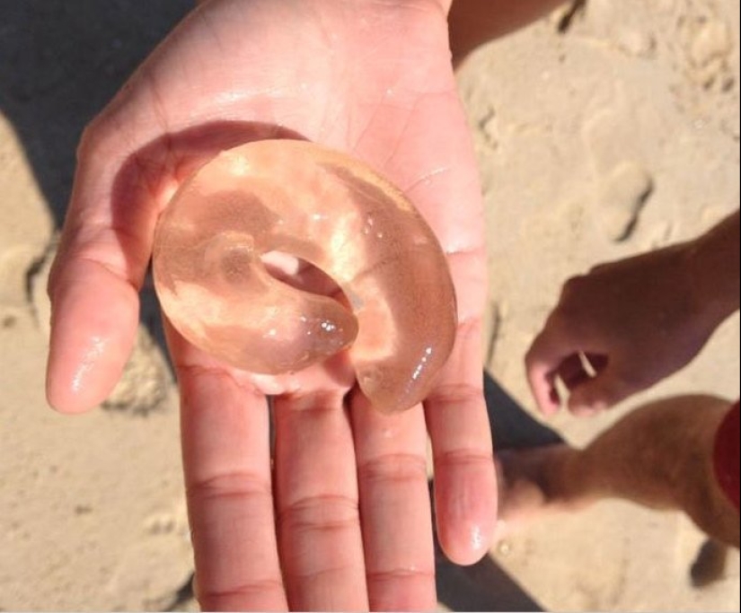 30 perplexed people who found the answer to their question on the Internet