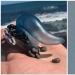 30 perplexed people who found the answer to their question on the Internet 30 perplexed people who found the answer to their question on the Internet