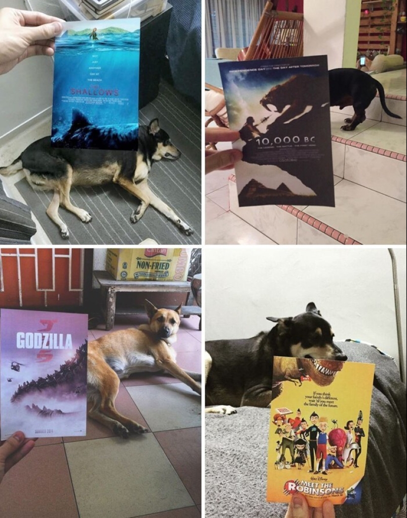 30 personas que eligieron un pasatiempo inusual y se llevó ninguna broma 30 personas que eligieron un pasatiempo inusual y se llevó ninguna broma