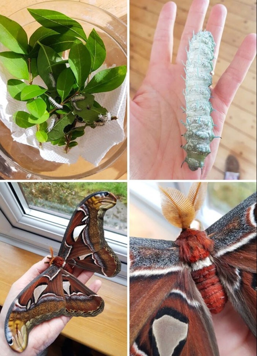 30 personas que eligieron un pasatiempo inusual y se llevó ninguna broma 30 personas que eligieron un pasatiempo inusual y se llevó ninguna broma