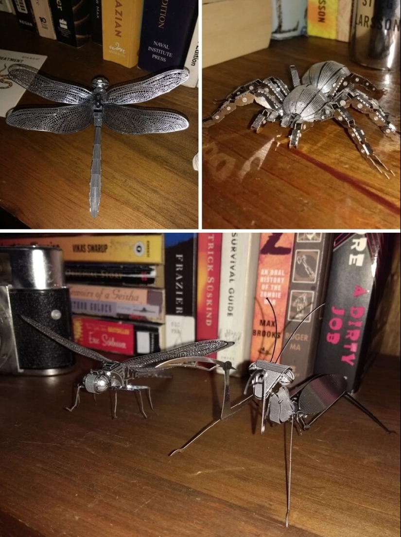 30 personas que eligieron un pasatiempo inusual y se llevó ninguna broma 30 personas que eligieron un pasatiempo inusual y se llevó ninguna broma