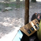 30 personas que encontraron amigos en el zoológico 30 personas que encontraron amigos en el zoológico