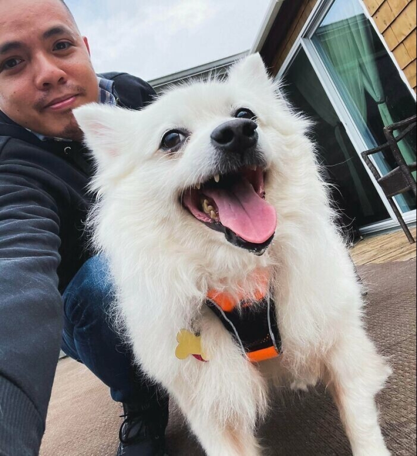 30 Pets that have recently found a new home and loving owners