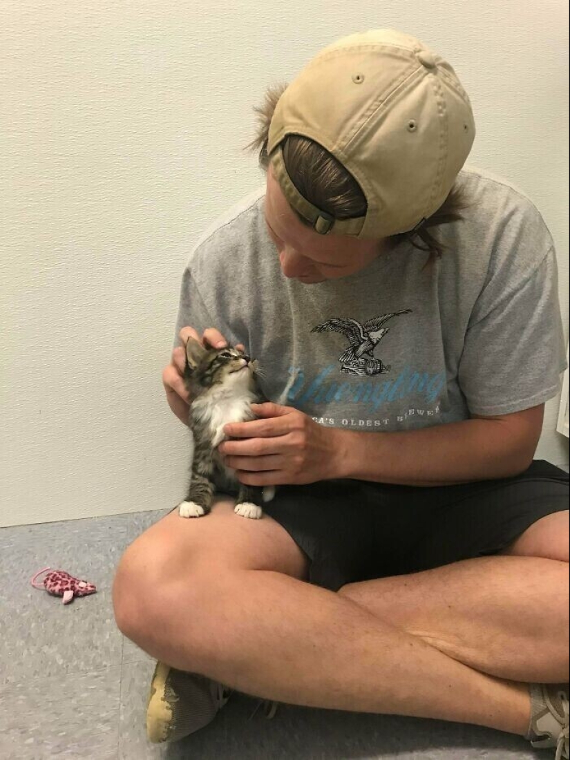 30 Pets that have recently found a new home and loving owners
