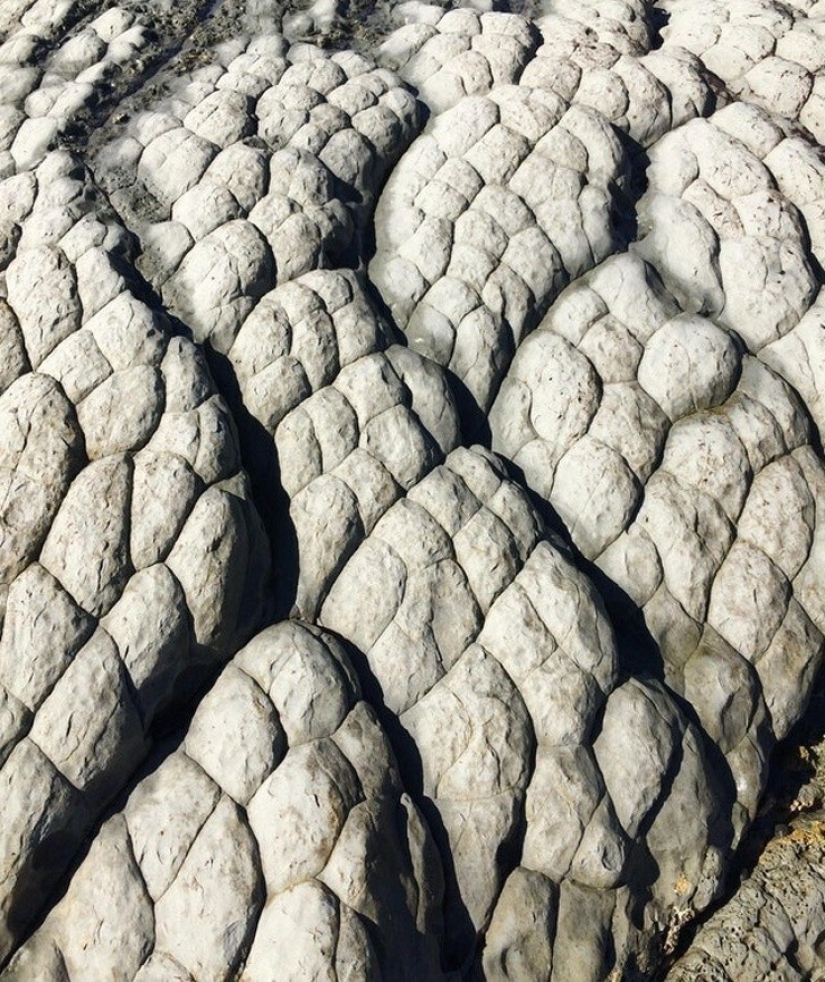 30+ photo evidence of how amazing and diverse our world is 30+ photo evidence of how amazing and diverse our world is
