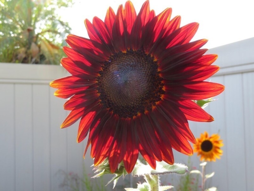 30+ photo evidence of how amazing and diverse our world is 30+ photo evidence of how amazing and diverse our world is