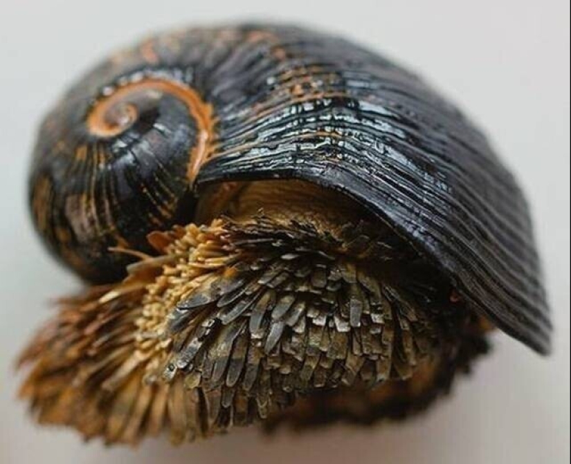 30+ photo evidence of how amazing and diverse our world is 30+ photo evidence of how amazing and diverse our world is