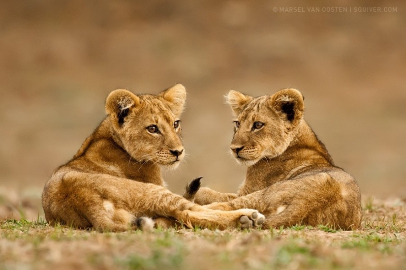 30 photos harmonious with perfect symmetry